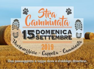Stracamminata 2019